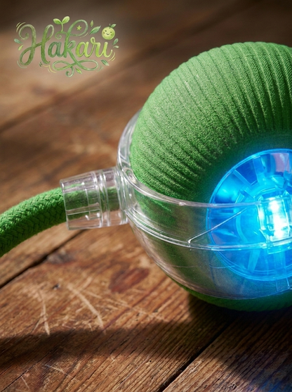 Robot Rolling Ball Toy